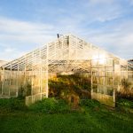 Photo Greenhouse