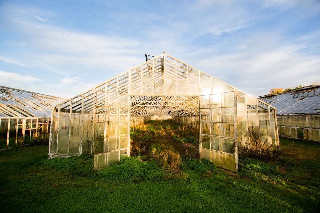 Photo Greenhouse